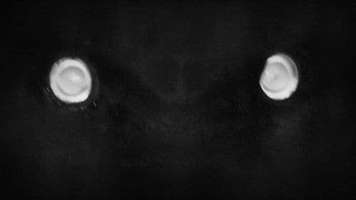 Corporate Occult Bild 4