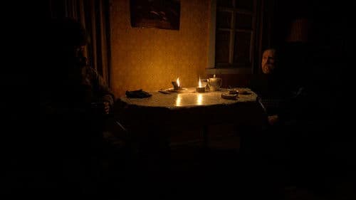 Сірі бджоли Bild 7