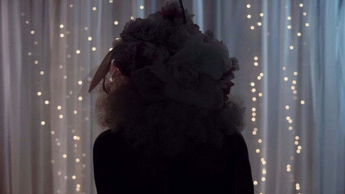 Happy Birthday, Marsha! Bild 4