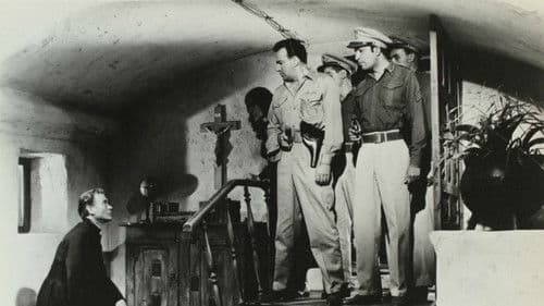 Sommer der Verfluchten Bild 1