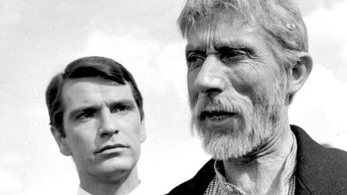 Blutendes Land Bild 3