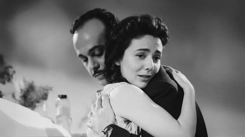 Kader Yolcusu Bild 2