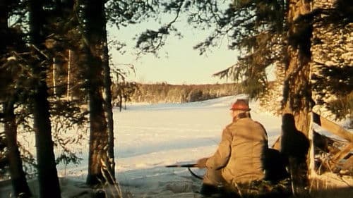 Potatishandlaren Bild 2