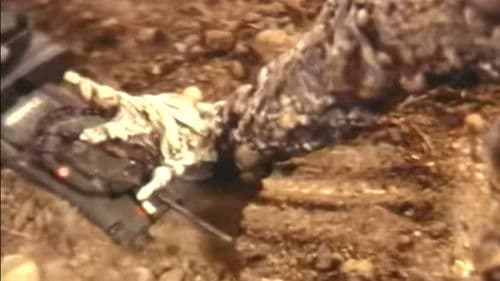 Gazorra: Die Bestie aus dem Erdinnern Bild 2