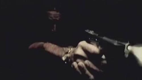 Karışık Pizza Bild 2