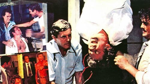 Pra Frente, Brasil Bild 2