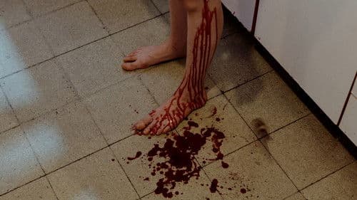 El reflejo y la sombra Bild 4