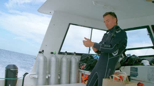 Sharkwater: Die Ausrottung Bild 8