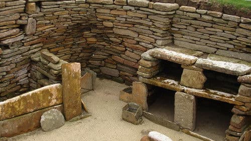 Stories From The Stone Age Bild 2