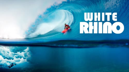 White Rhino Bild 5
