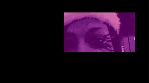 The Little House That Could Bild 2