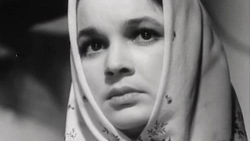 Die Steinblume Bild 2