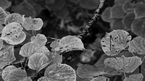 This Pond Is Full Bild 1