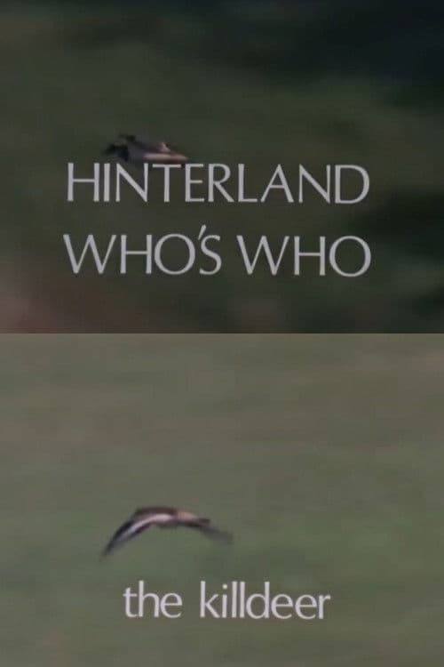 Hinterland Who's Who: Killdeer