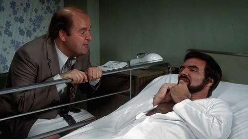 Nobody Is Perfect Bild 1