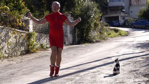 Mr. Dimitris and Mrs. Dimitroula Bild 1