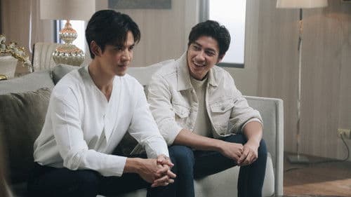 Laws of Attraction Bild 8