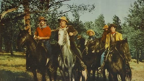 Mein Wille ist Gesetz Bild 2