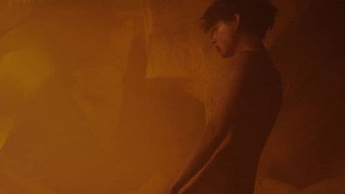 We Are The Flesh Bild 7