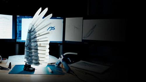 Le rêve de Léonard : Les secrets du vol dans la nature Bild 4