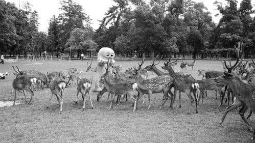 ひらけ!ポンキッキ Bild 1