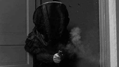 Beware the Black Widow Bild 2