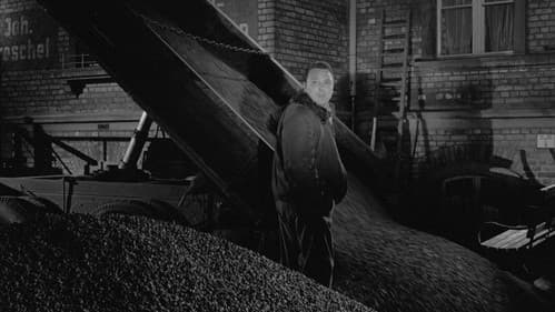 Schwarzer Kies Bild 8