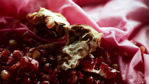 The Pomegranate Theory Bild 3