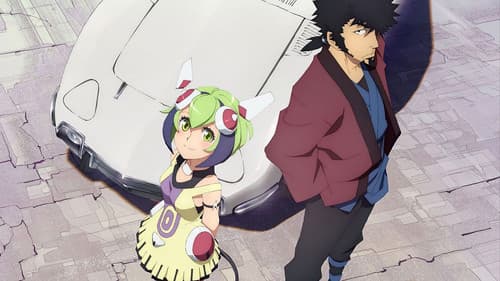 Dimension W Bild 4