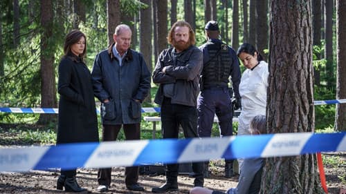 Beck 44 - Rage Room Bild 2