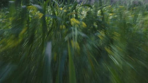 Para atrapar el viento Bild 8