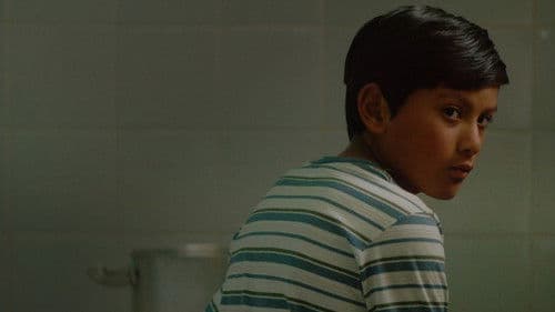 El Tren Fluvial Bild 2