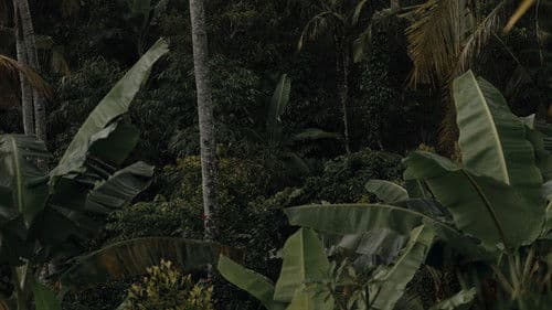 Mogućnost Raja Bild 1