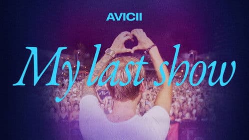 Avicii - Mein letztes Konzert Bild 4