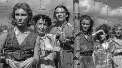 Die gelbe Hölle Bild 6