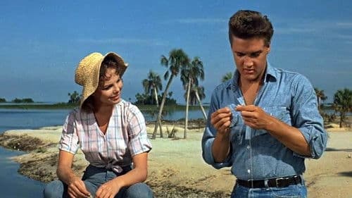 Ein Sommer in Florida Bild 2