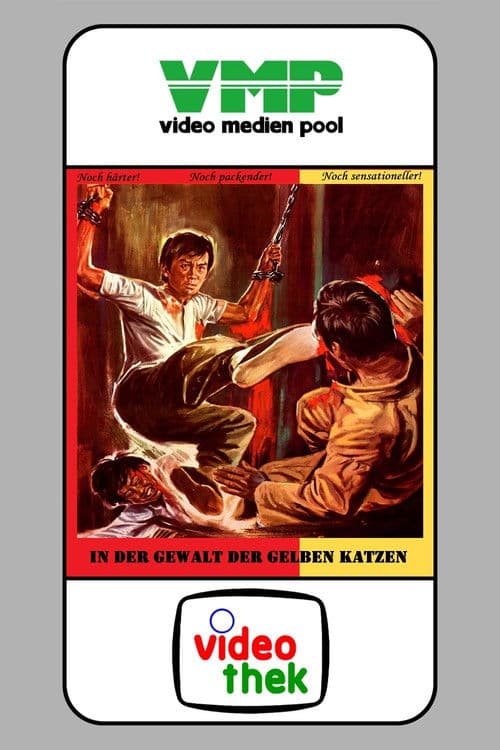 In der Gewalt der gelben Katzen