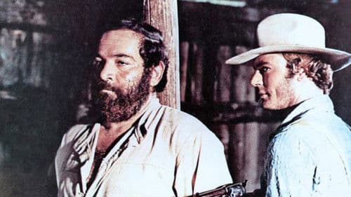 Vier Fäuste schlagen wieder zu Bild 1