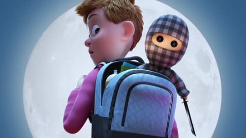 Der karierte Ninja Bild 1