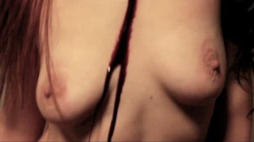 Lesbian Vampire Seductions Bild 1