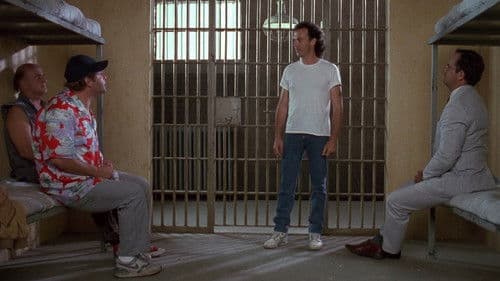 Das Traum Team Bild 6