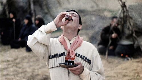 ფიროსმანი Bild 2