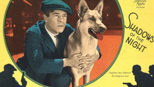 Shadows of the Night Bild 1