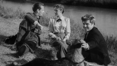 Il caimano del Piave Bild 1