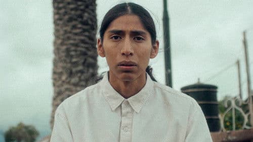 Crónica de una Desdicha Hereditaria Bild 1