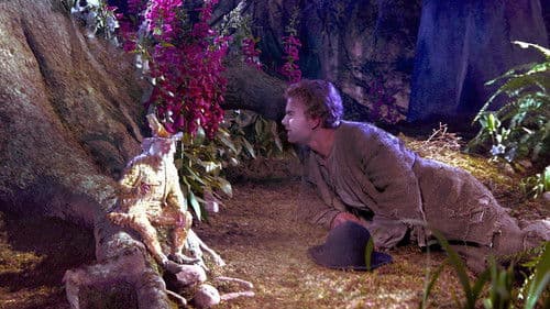 Das kalte Herz Bild 1