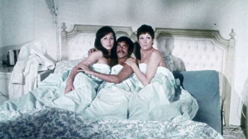 Two Roses and a Golden Rod Bild 8