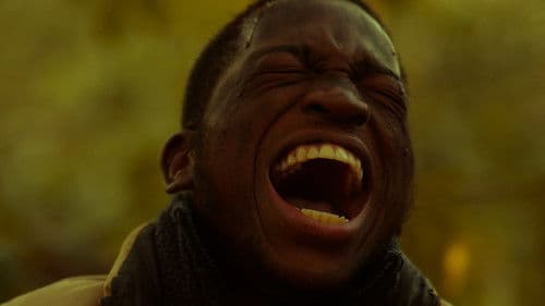 The Darkling Fox Bild 1