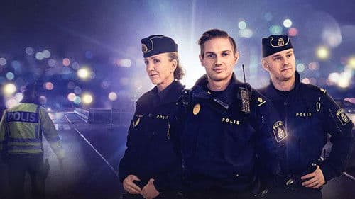 Trafikpoliserna Bild 3