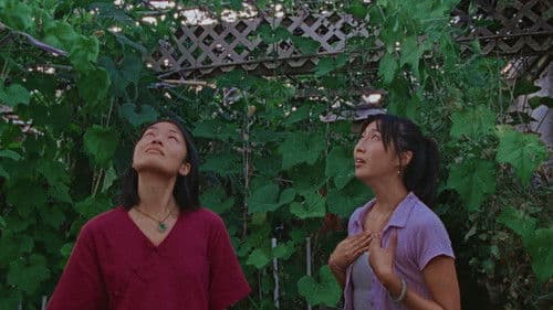 Roots That Reach Toward The Sky Bild 2